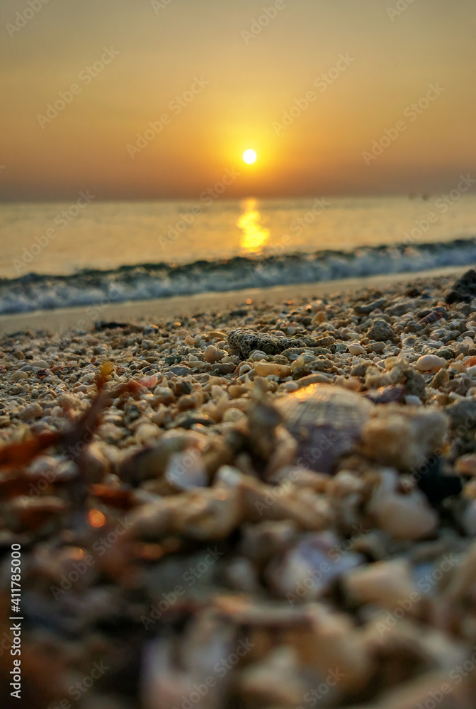 Background image of beautiful sunrise in French beach, Qatar with sea shells.