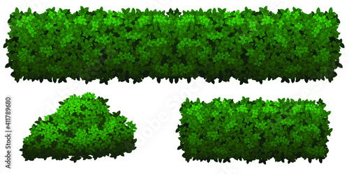 Set of green bushes and herbs of different shapes, isolated on white background. Dense shrubs to decorate parks and gardens. Vector illustration