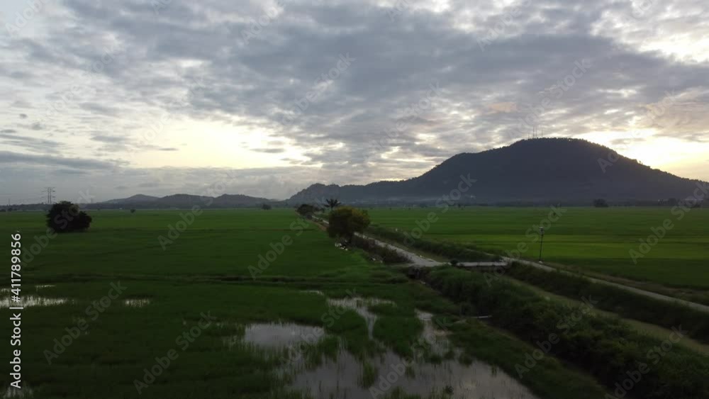 Aerial fly over rural road in green paddy field Aerial fly over rural road in green paddy field