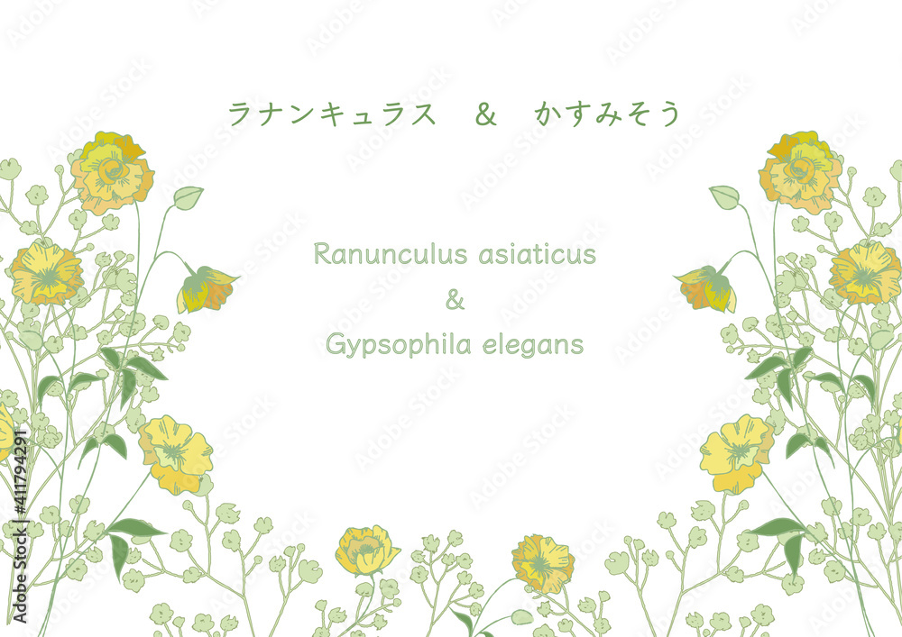 ラナンキュラスとカスミソウのイラスト フレーム Stock Vector Adobe Stock ラナンキュラスとカスミソウのイラスト フレーム Stock Vector Adobe Stock