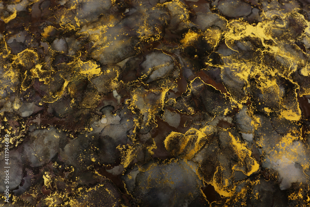 art photography of abstract fluid art painting with alcohol ink, black and gold colors