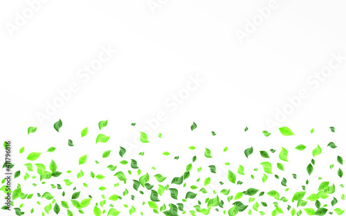 Swamp Greenery Organic Vector White Background Branch. Tree Leaves Concept. Lime Foliage Fly Pattern. Leaf Wind Poster.