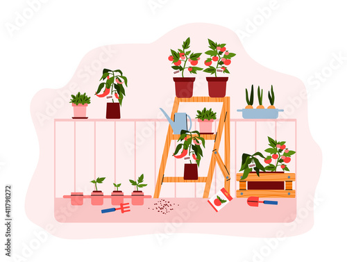 Balcony or house terrace with growing houseplants in pots, cartoon vector illustration isolated on white background. Home garden and house planting hobby.