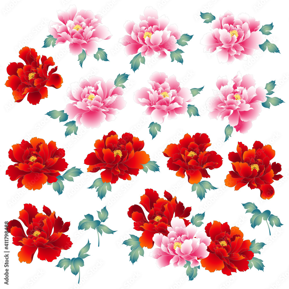 Japanese painting style peony material collection,
