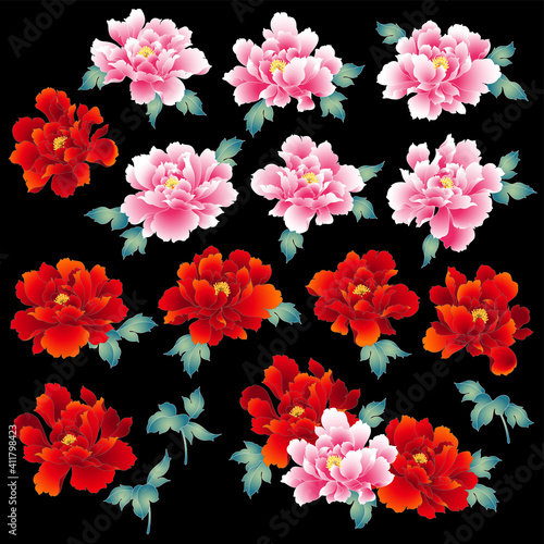 Japanese painting style peony material collection 