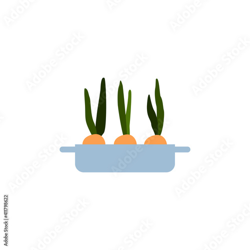 Growing onion in long pot with ground. Green leaf and bulb, fresh organic plant food. Flat cartoon vector illustration isolated on a white background.
