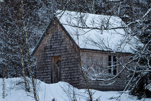 house in the woods