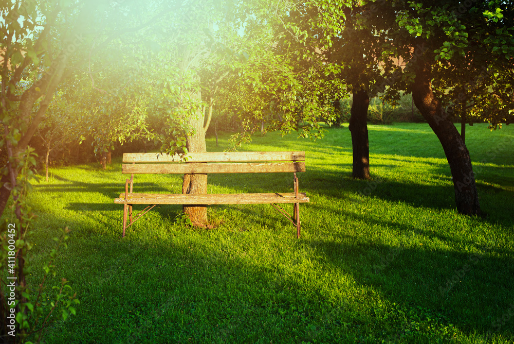 Wooden bench in the backyard garden.Summer garden shot. Wooden bench in the backyard garden.Summer garden shot.