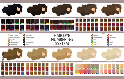 Stock vector palette with hair dye numbering system, levels, tones and undertones. Palette for 10 levels of hair color depth. Women with long wavy hair. Illustration in flat style