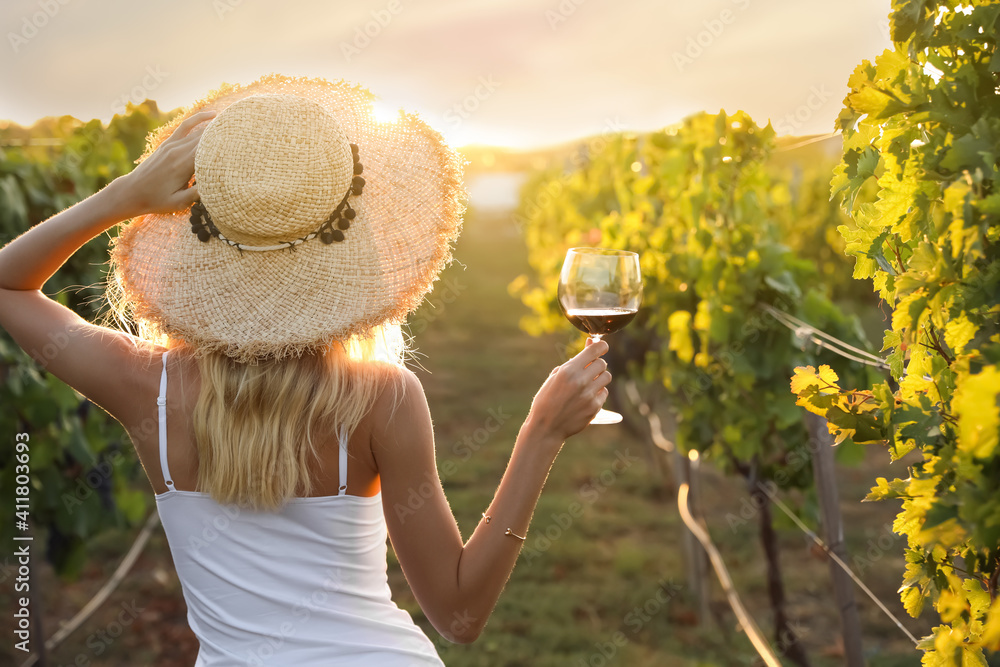 Young woman with glass of wine in vineyard on sunny day, back view ...