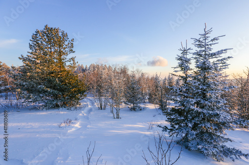 Snowy Russian forest. The top of the mountain covered with snow and snow-covered conifers. Beautiful winter landscape. © alexhitrov