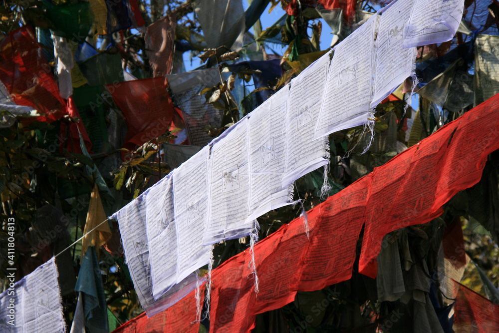 Obraz premium buddhist prayer flags in bhutan