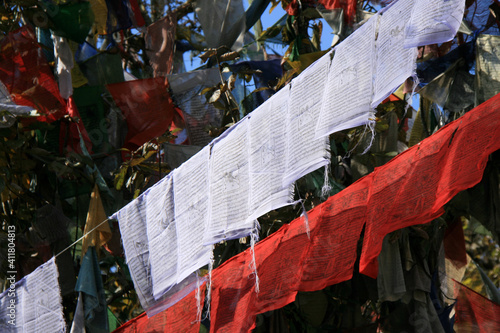buddhist prayer flags in bhutan