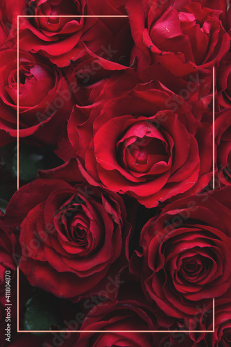 Fototapeta Naklejka Na Ścianę i Meble -  red roses background with pink frame with copy space
