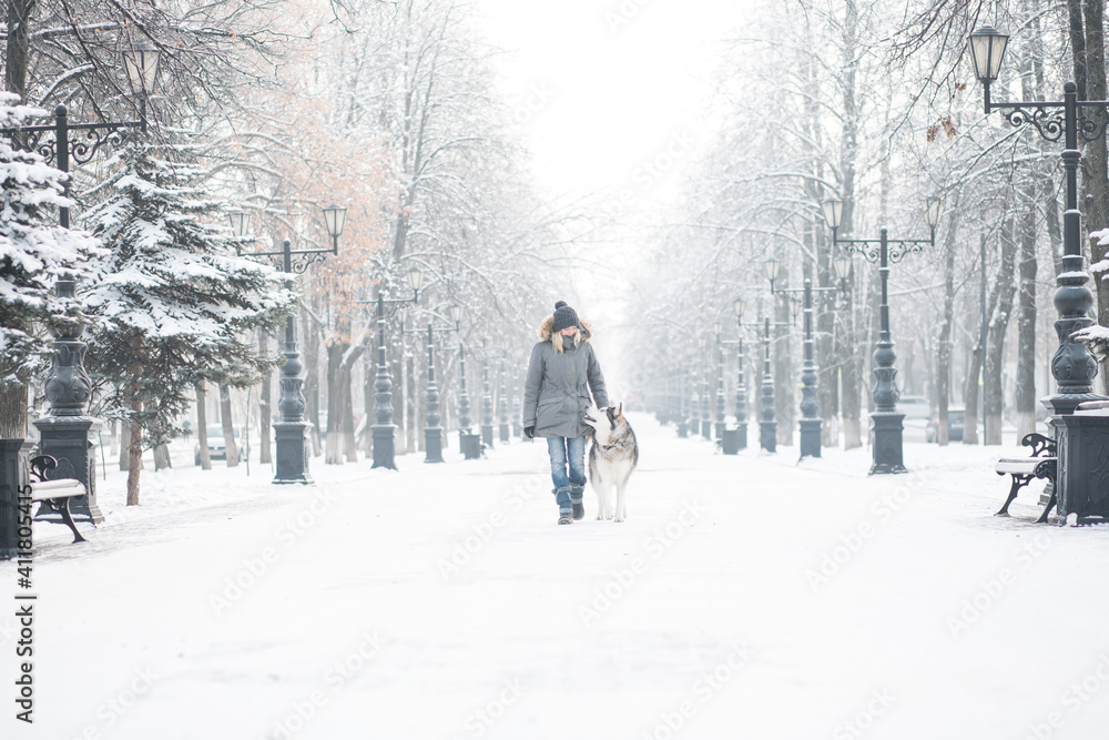 European woman walking with Alaskan malamute dog in winter city. 