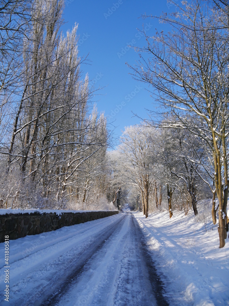 Obraz premium road in winter