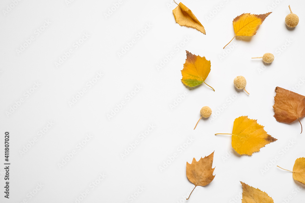 Flat lay composition with autumn leaves and space for text on white background Flat lay composition with autumn leaves and space for text on white background