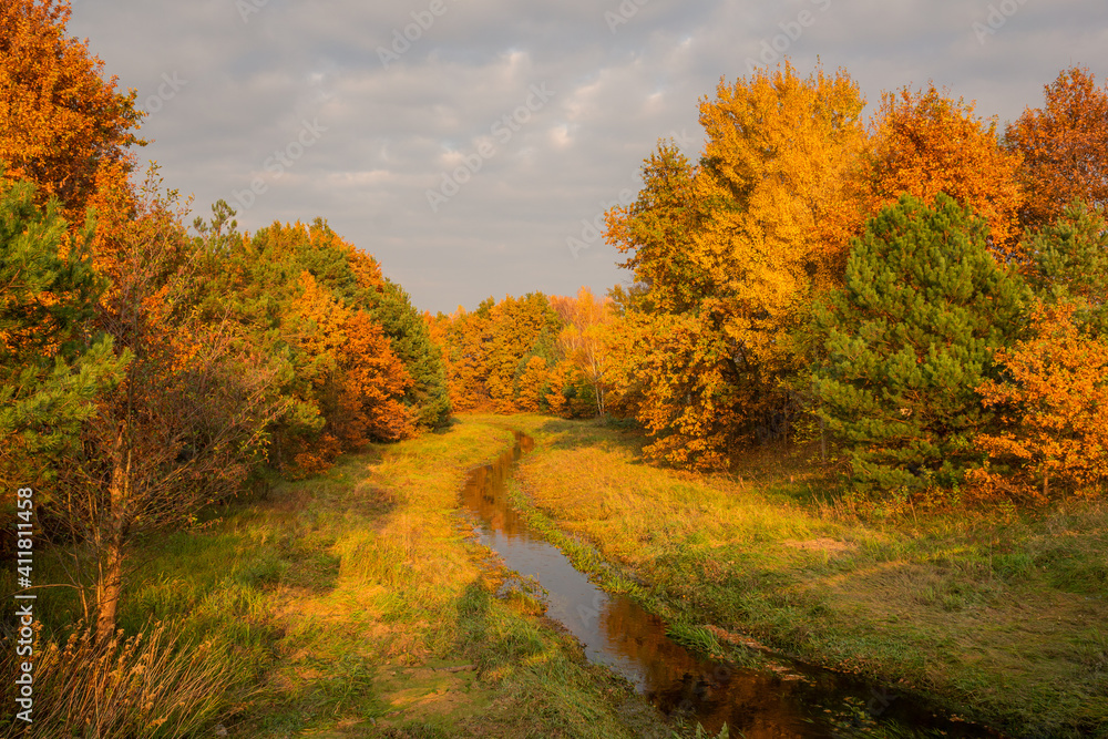 Czarna river at autumn near Gora Kalwaria, Mazowieckie, Poland