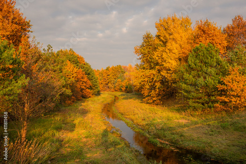 Obraz na płótnie Czarna river at autumn near Gora Kalwaria, Mazowieckie, Poland w salonie