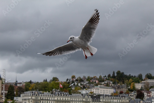 TopVisualization Pictures 2020 Lucerne 