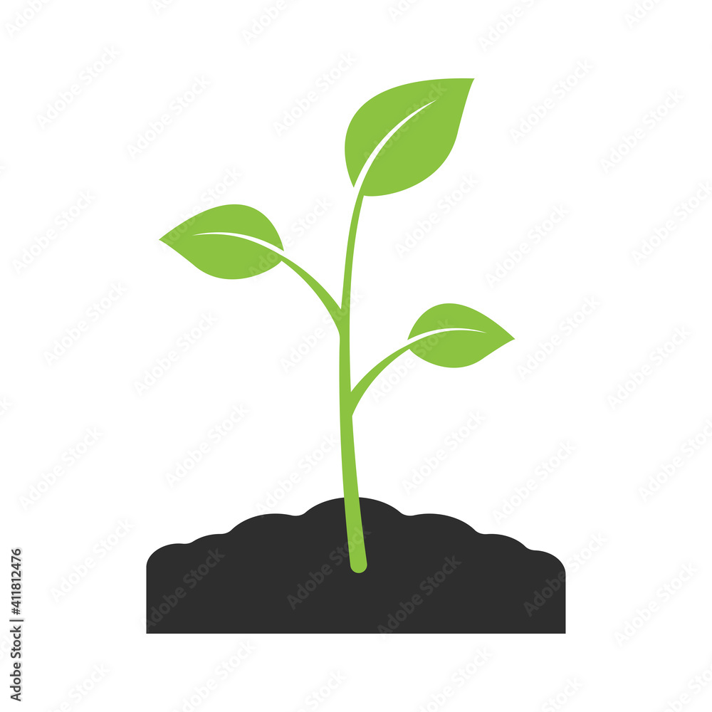 Green growing plant sprout. Young sprout with leaves vector icon isolated on white background. Vector illustration. Green growing plant sprout. Young sprout with leaves vector icon isolated on white background. Vector illustration.