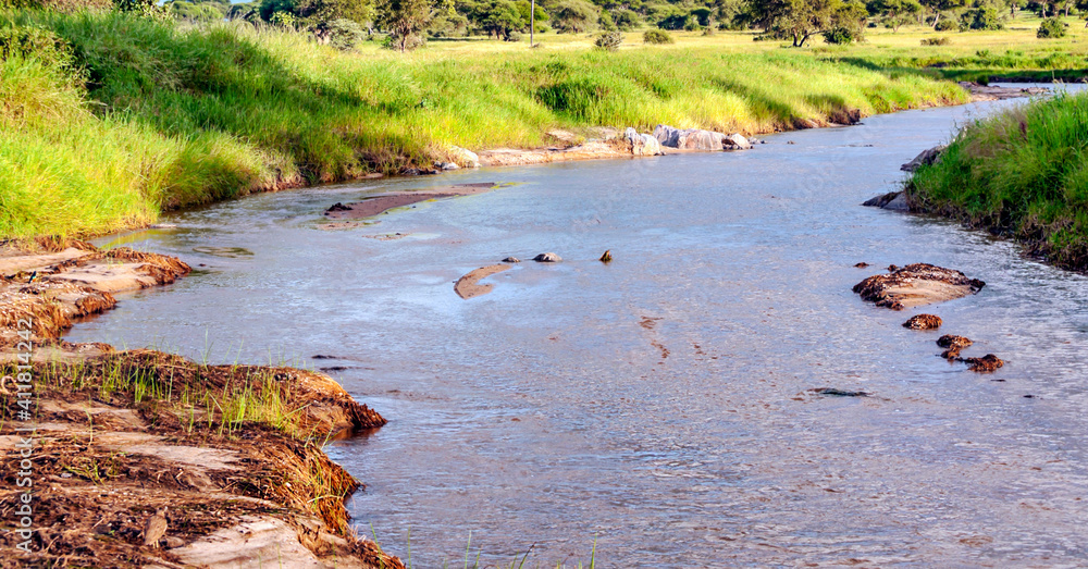 River of Africa