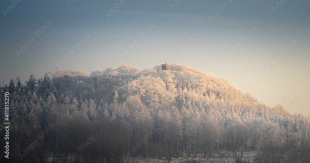 Fototapeta premium Winterlicher Wald im Sonnenuntergang