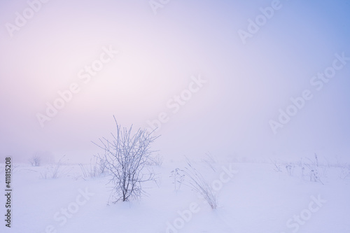 Winter landscape with fog. Warm cold sunrise landscape