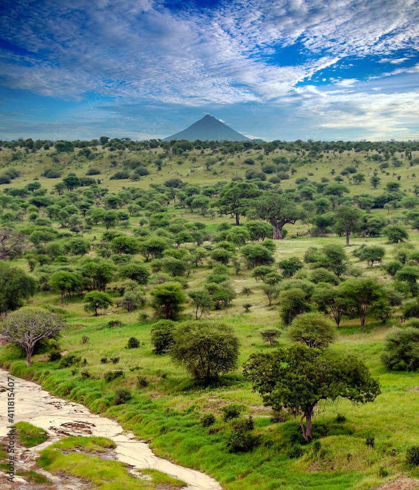 Landscape of Africa