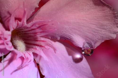 Selective focus on water drops with blurred background