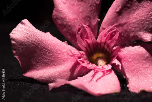 Selective focus on water drops with blurred background