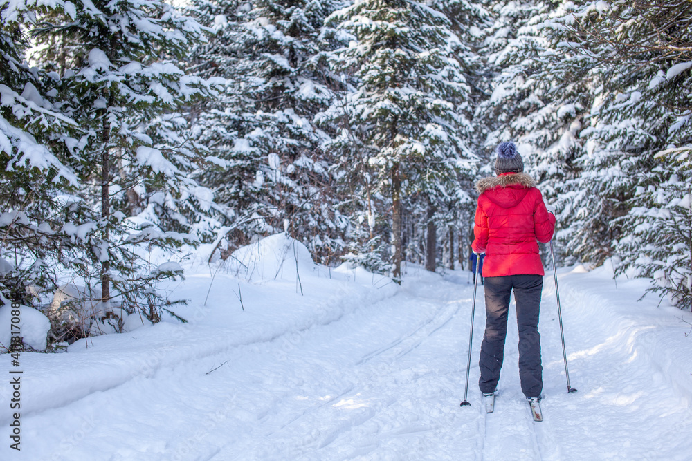 A girl in a red jacket goes skiing in a snowy forest in winter. A girl in a red jacket goes skiing in a snowy forest in winter.