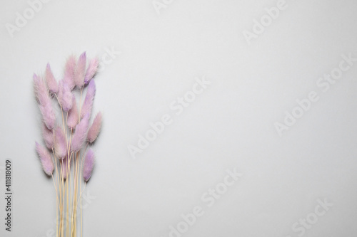 Bouquet of dried flowers on light grey background, flat lay. Space for text