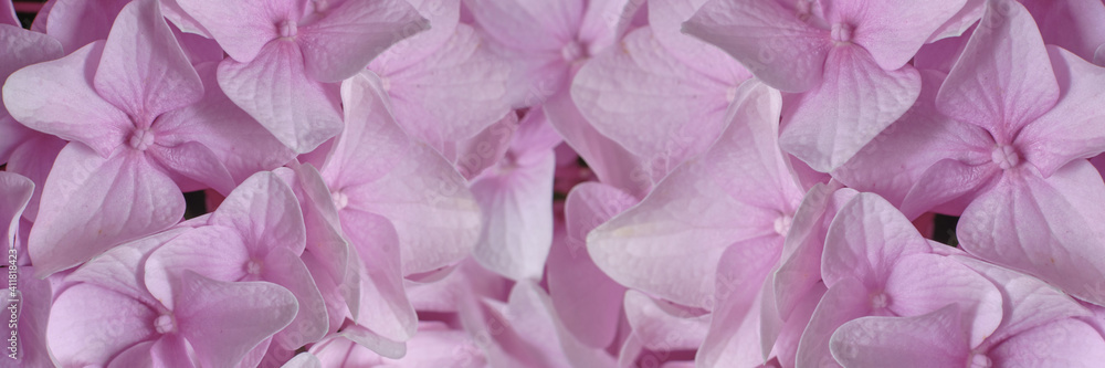 pale pink lilac petals close up, shallow depth of field, banner concept