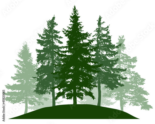 Summer woodland, silhouette of spruce trees. Beautiful nature, landscape. Vector illustration