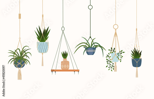 Set of house plants in pots. Vector flat style cartoon illustration.