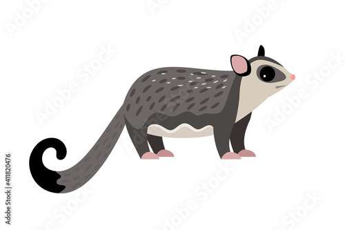 Exotic flying animal. Cartoon fluffy characters of zoo, cute beast of wildlife, vector illustration of sugar glider isolated on white background