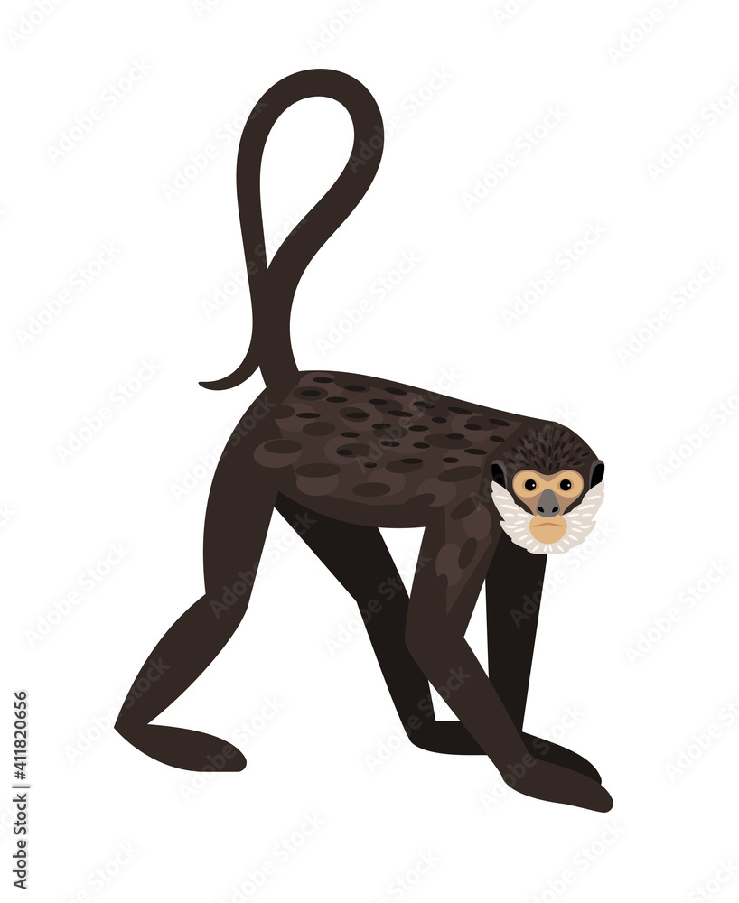 Monkey with tail. Cartoon funny character of zoo, comic fluffy animal of cinema, vector illustration of spidermonkey isolated on white background Stock Vector | Adobe Stock Monkey with tail. Cartoon funny character of zoo, comic fluffy animal of cinema, vector illustration of spidermonkey isolated on white background Stock Vector | Adobe Stock