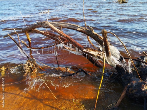 the sandy shore of Lake Ilmen waves the wind of the sky photo