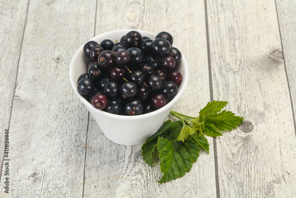 Fresh ripe sweet black currant Fresh ripe sweet black currant