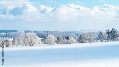 冬空の丘と霧氷した木　北海道の絶景