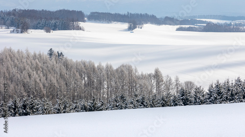 冬の北海道 霧氷した木々と雪の丘