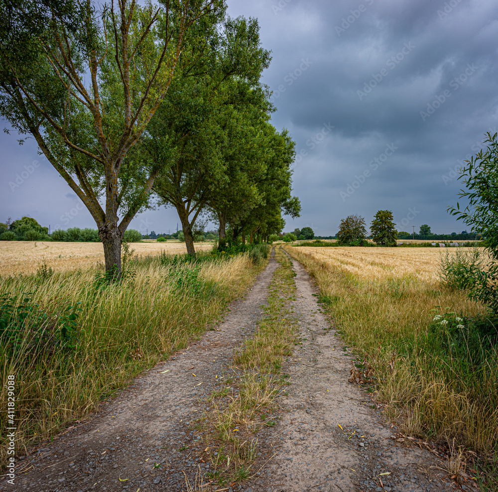 Feldweg