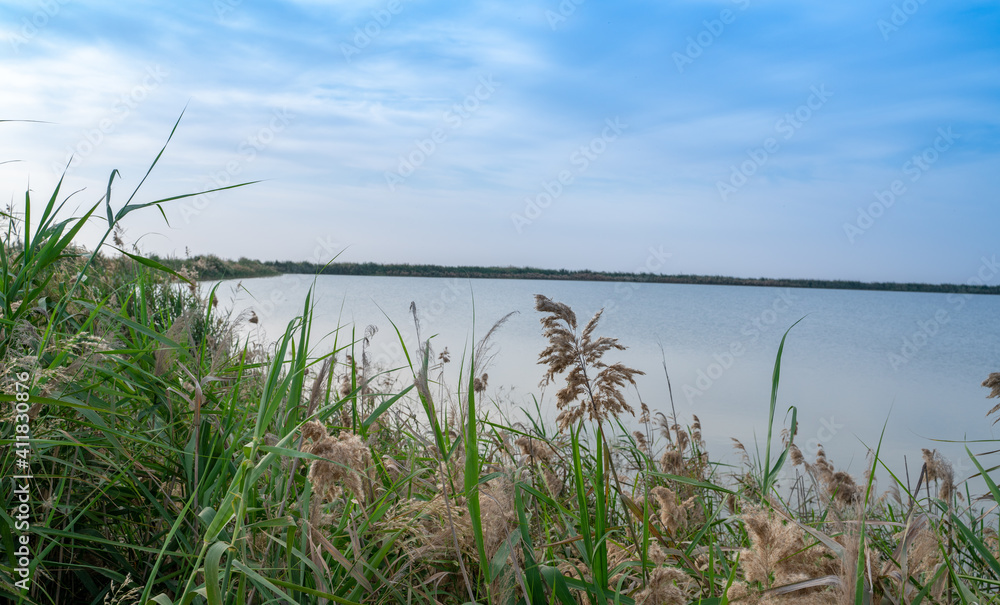 Beautiful nature image of lake near irkaya farm in Doha,Qatar
