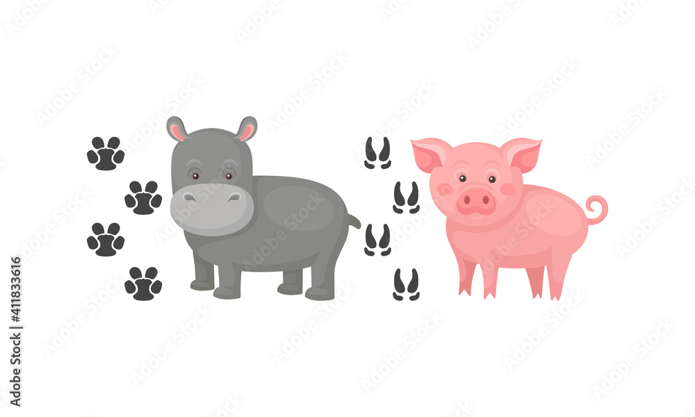 Wild and Domestic Animal with Hippo and Pig and Their Footprints Vector Set