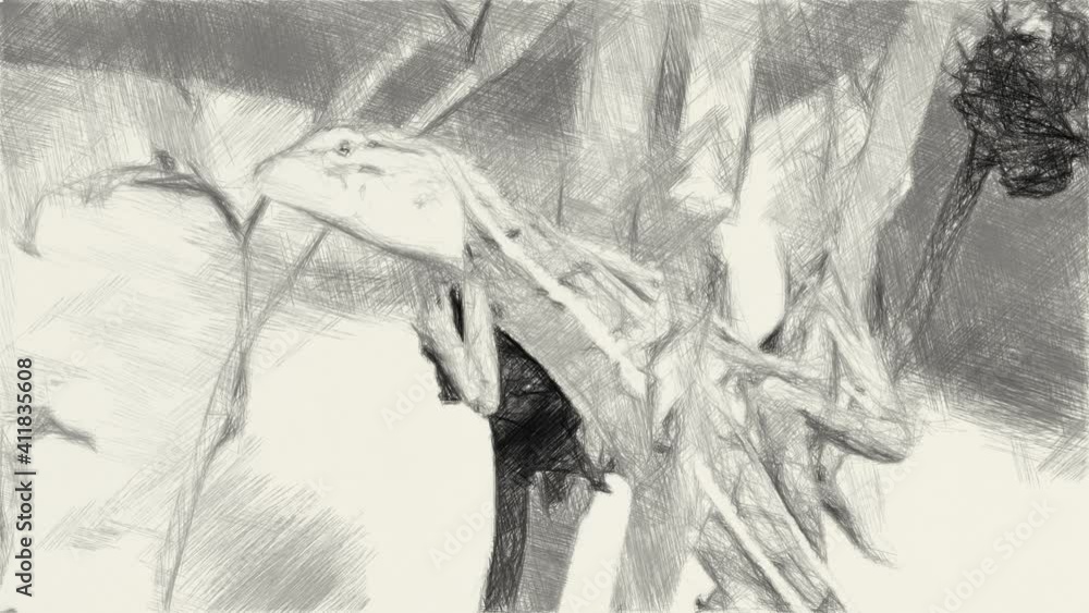 art drawing black and white of chameleon on dry tree art drawing black and white of chameleon on dry tree