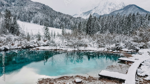 Fotografie, Obraz Zelenci Springs nature reserve near Kranjska Gora, Slovenia in Winter