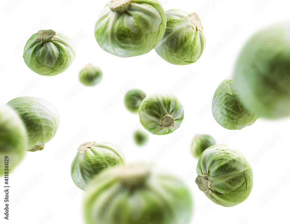 Green cabbage levitates on a white background Green cabbage levitates on a white background