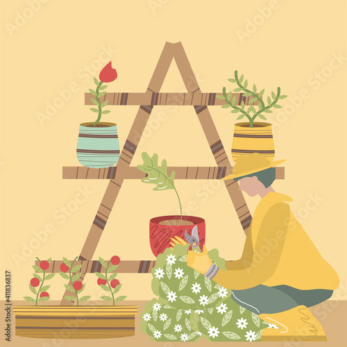 home garden, gardener with scissors trimming bushes and flowers potted plants in shelf