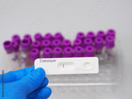 Canine Distemper Virus Ag Test kit qualitatively detects Canine Distemper Virus (CDV Ag) from a
dog's ocular or nasal secretions, serum, or plasma.